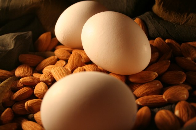 Kacang kacangan