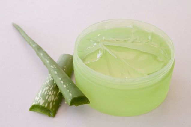 Aloe vera
