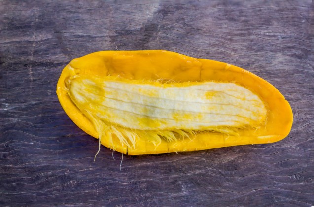 Biji mangga