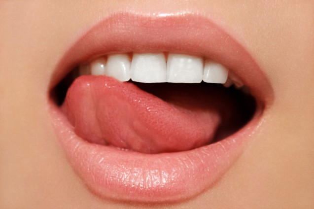 Bibir 